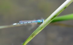 6th Sept 2015 008.JPG