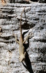 6th Sept 2015 011.JPG