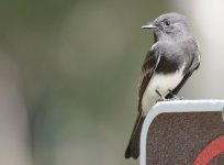 6th Sept 2015 031.JPG