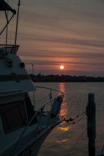 untitled-1-90.jpg