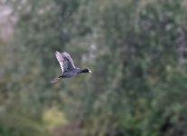 DSC_4805.jpg