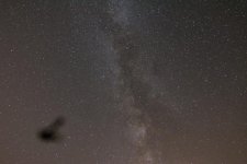 tam 15-30 high iso milky way.jpg