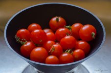 From my garden.jpg