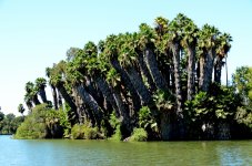 7th Sept 2015 025.JPG