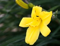 7th Sept 2015 071.JPG