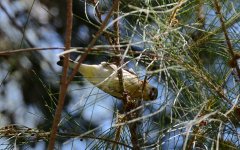 7th Sept 2015 075.JPG