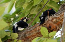 7th Sept 2015 105.JPG