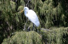 7th Sept 2015 088.JPG