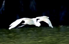 7th Sept 2015 033.JPG