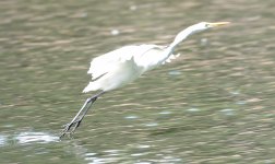 7th Sept 2015 035.JPG