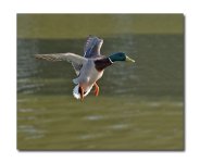 DSC_8032.jpg