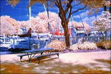9-7-15 Vermilion IR   1.jpg