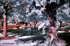 9-7-15 Vermilion IR   14.jpg