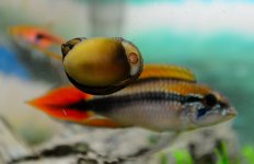 9th Sept 2015 002.JPG