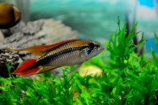 9th Sept 2015 003.JPG