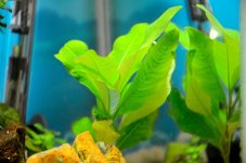 9th Sept 2015 004.JPG