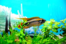 9th Sept 2015 005.JPG