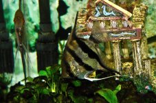 9th Sept 2015 011.JPG