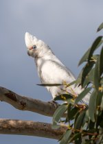 untitled-1-364.jpg