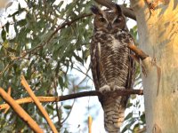 10th Sept 2015 015.JPG