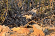 10th Sept 2015 017.JPG