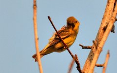 10th Sept 2015 021.JPG