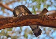 10th Sept 2015 029.JPG