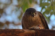 10th Sept 2015 046.JPG