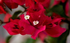 10th Sept 2015 049.JPG