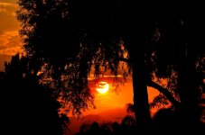 10th Sept 2015 050.JPG