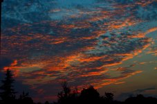 10th Sept 2015 056.JPG