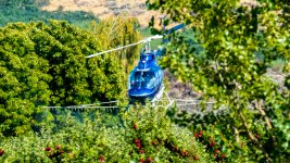 DSC_6928.jpg