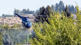 DSC_7118.jpg