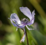 untitled-1-367.jpg