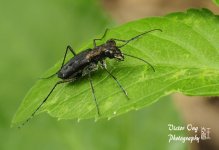 DSC_2779.jpg