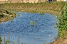 11 - 12th Sept 2015 007.JPG