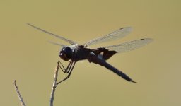 11 - 12th Sept 2015 010.JPG