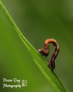DSC_2769.jpg