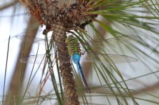 11 - 12th Sept 2015 040.JPG