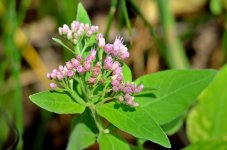 11 - 12th Sept 2015 113.JPG