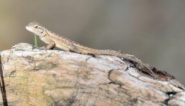 11 - 12th Sept 2015 118.JPG