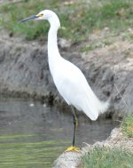 11 - 12th Sept 2015 065.JPG