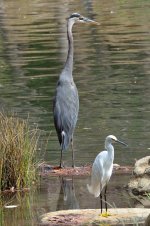 11 - 12th Sept 2015 076.JPG