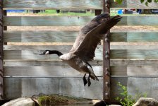 11 - 12th Sept 2015 111.JPG