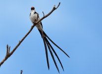 11 - 12th Sept 2015 089.JPG