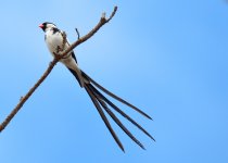 11 - 12th Sept 2015 090.JPG