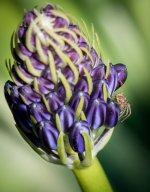 untitled-1-424.jpg