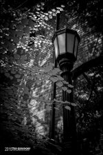 9-11-15 Kent IR   BW   4.jpg