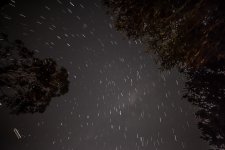 untitled-1-430.jpg