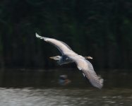 DSC_0161.jpg